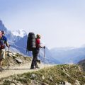 A Comprehensive Guide to National Trust Walking Trails for Wildlife Enthusiasts Across the UK