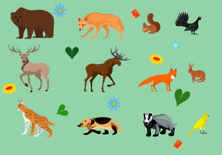 Red Deer and Roe Deer: The Majestic Wanderers