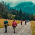 The Role of National Trust Walks in Protecting Endangered UK Species
