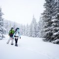 Sustainable and Eco-Friendly Rucksacks: Brands Making a Difference in the UK