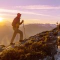 Accessible Nature Trails in National Parks: Planning a Family Day Out