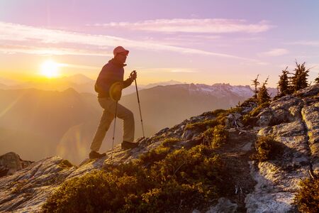 Accessible Nature Trails in National Parks: Planning a Family Day Out