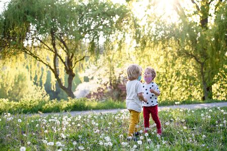 A Guide to the Best Family-Friendly Picnic Spots Along the Cotswolds’ Scenic Trails