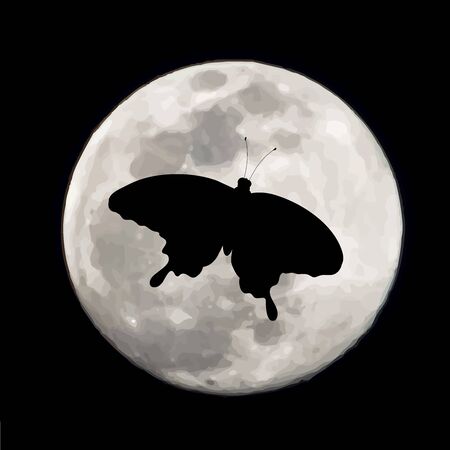 Britain’s Nocturnal Residents: Who Comes Out at Night