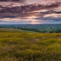 The Ultimate Guide to Walking with Dogs in the British Countryside: Family-Friendly Routes for All Ages