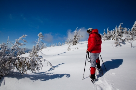 Navigating the Membership Process: What to Expect When Joining a Rambling Club