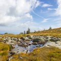 Traversing the Cairngorms: Wild Walks and Remote Wilderness