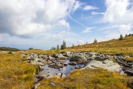 Traversing the Cairngorms: Wild Walks and Remote Wilderness