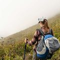 Threats to Britain’s Native Flora: Invasive Species and Human Impact