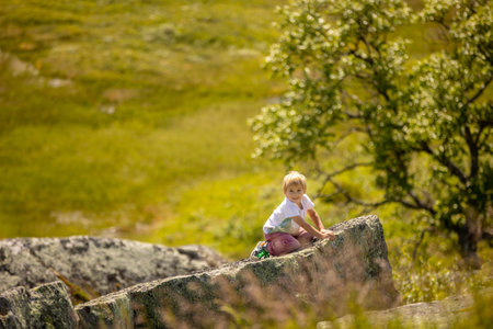 Top 15 Family and Dog-Friendly Walking Trails in England