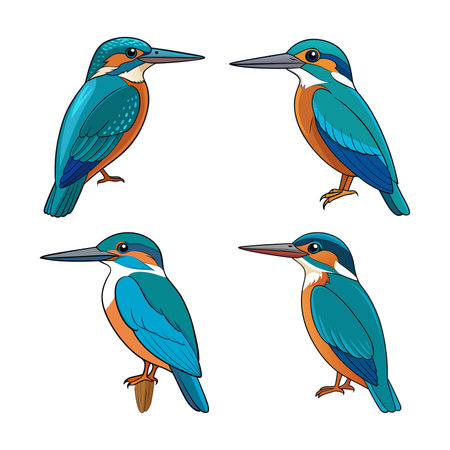 Family-Friendly Birdwatching Walks Across the UK