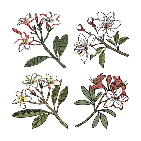 Seasonal Changes: British Wildflowers and Trees Through the Year