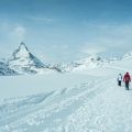 Integrating NHS Resources with Walking Apps: Maximising Health Benefits in the UK