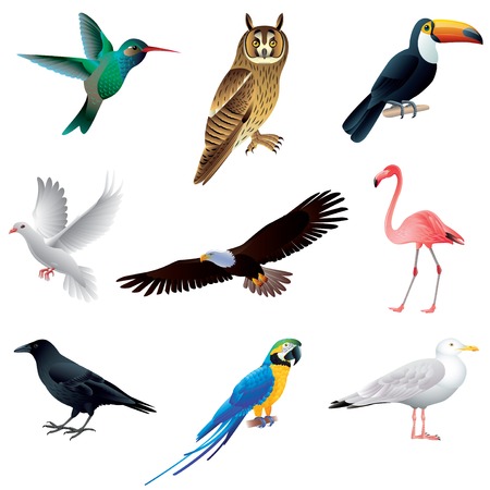 Birdlife on the Edge