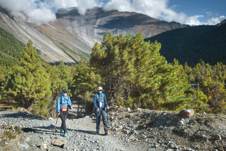 British Weather-Proof Rucksacks: What’s Really Waterproof and Breathable for UK Trails?