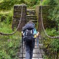 Historic Walking Festivals in the UK: Community, Culture, and Countryside