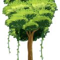 The Natural History of Common Flora and Fauna Along UK Hiking Paths