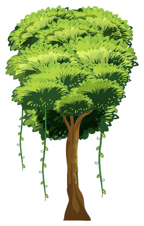 The Natural History of Common Flora and Fauna Along UK Hiking Paths