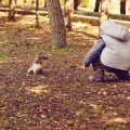 Staying Safe on British Countryside Walks: Essential Tips for Families and Their Dogs