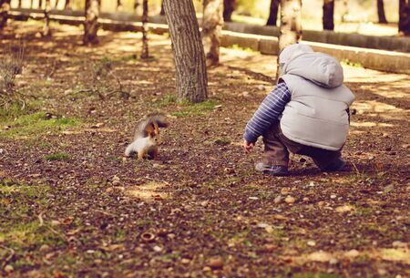 Staying Safe on British Countryside Walks: Essential Tips for Families and Their Dogs