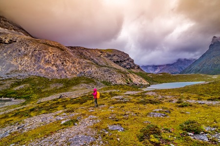 From London Parks to Scottish Highlands: Iconic UK Walks that Uplift the Mind