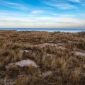 Crossing Tidal Paths on Lindisfarne: Hiking the Holy Island Trails