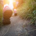 The Social Side of Rambling: Building Friendships Through Walking Clubs