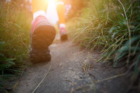 The Social Side of Rambling: Building Friendships Through Walking Clubs