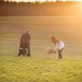 Countryside Accessibility: Walks for Families and Dogs with Mobility Needs