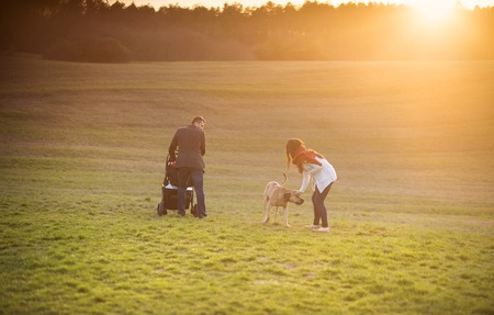 Countryside Accessibility: Walks for Families and Dogs with Mobility Needs