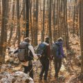Virginia Woolf and the Bloomsbury Group: Sussex Downs Literary Hikes