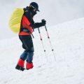 Walking with Dogs Across the UK: Injury Prevention for Two and Four Legs