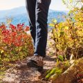 UK Mountain Walks: Tackling the Highest Peaks in National Parks