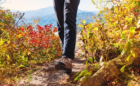 UK Mountain Walks: Tackling the Highest Peaks in National Parks