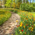Historic Village Walks: Family-Friendly Dog Routes in the Heart of Rural Britain