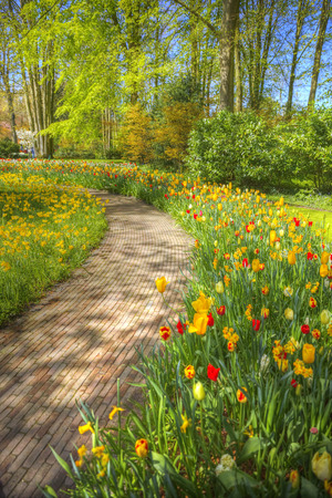 Historic Village Walks: Family-Friendly Dog Routes in the Heart of Rural Britain
