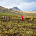 Wheelchair-Friendly Walks & Picnic Areas: Making the Scottish Highlands Accessible
