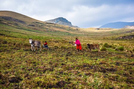 Wheelchair-Friendly Walks & Picnic Areas: Making the Scottish Highlands Accessible