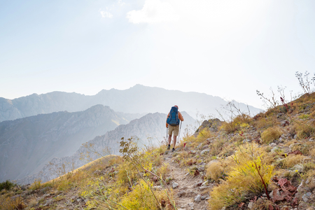 Walking for Mental Health: Advice from UK Psychologists and Wellbeing Coaches