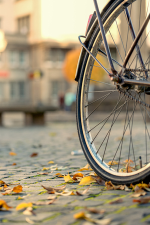 Favoured Urban Walks: Wheelchair-Friendly City Routes in Manchester, Birmingham, and Beyond