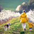 Wildlife Encounters: Walking with Dogs and Children among Britain’s Flora and Fauna