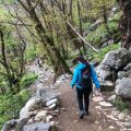 Pushchair Adventures: Toddler-Friendly Walks with Smooth Paths