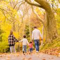 Eco-Friendly Family Walks: How to Leave No Trace on UK Trails