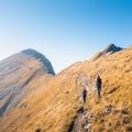 Dartmoor Across the Seasons: Moorland Walks and Hidden Tors