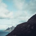Coastal Hikes: Seabird and Marine Wildlife Watching Around Britain