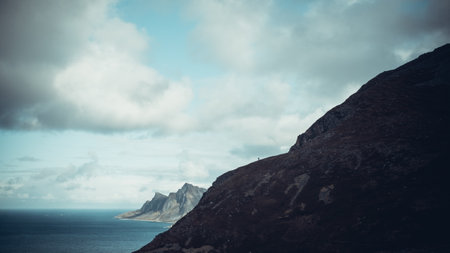 Coastal Hikes: Seabird and Marine Wildlife Watching Around Britain