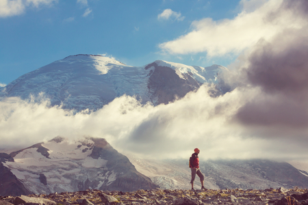 The Science Behind Trekking Poles: Reducing Strain on British Hikes and Walks