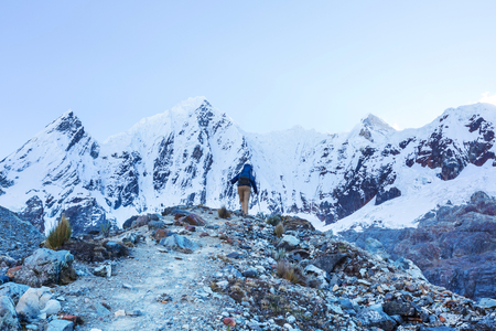 Supplements and Vitamins: Do British Walkers Really Need Them?